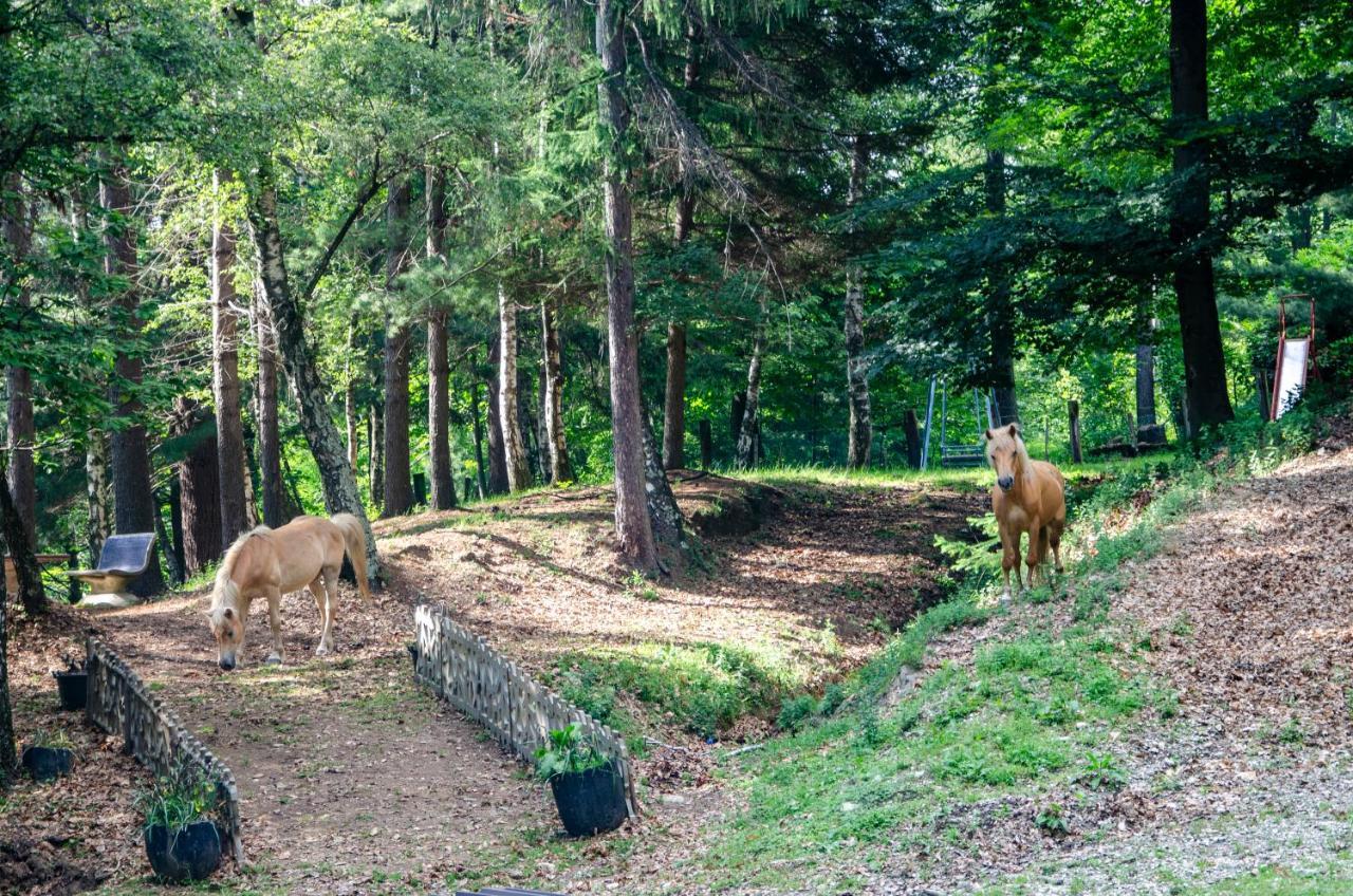 Bellosta Family Country Club Mb Alpe Moiana Armeno Ngoại thất bức ảnh