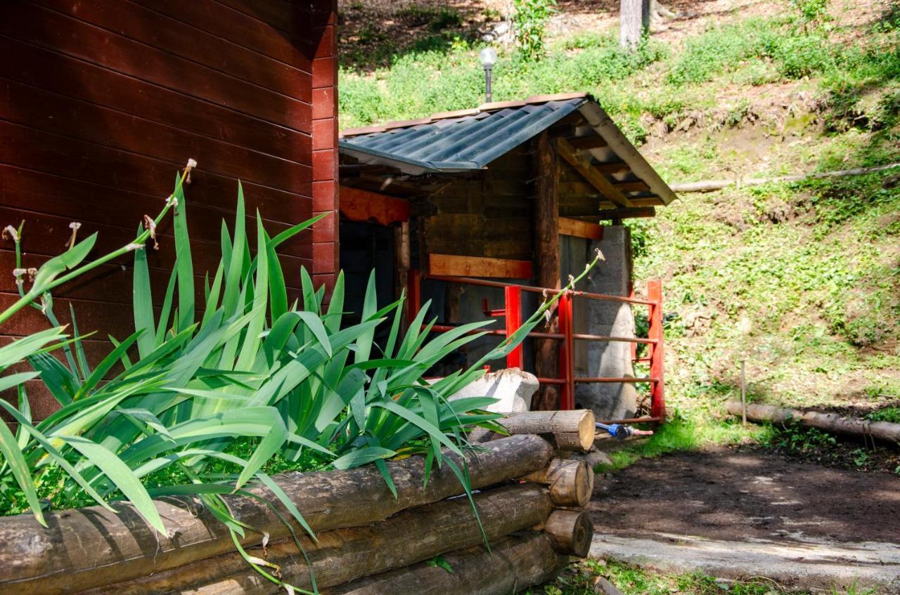Bellosta Family Country Club Mb Alpe Moiana Armeno Ngoại thất bức ảnh